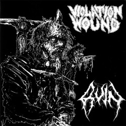 Violation Wound/Ruin 7"